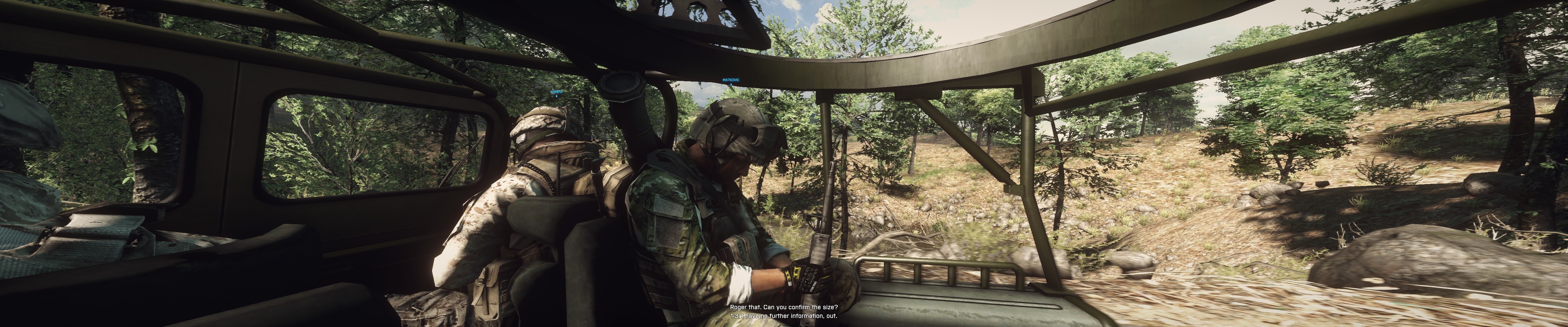 bf3_14.jpg