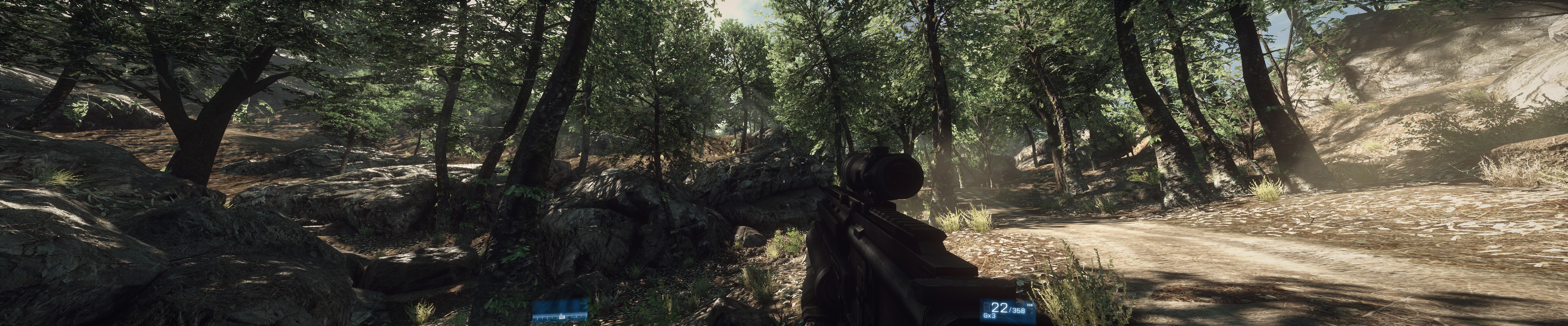bf3_16.jpg